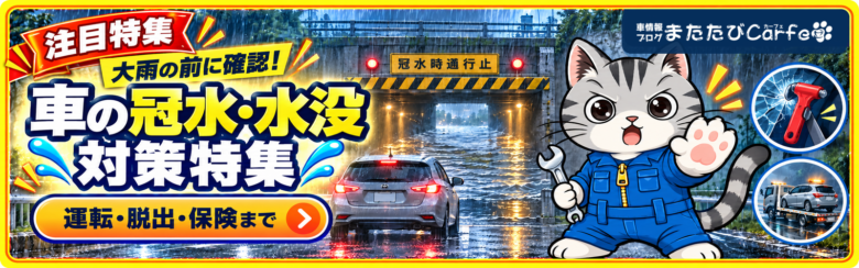 大雨時の運転・脱出・保険を解説する車の冠水・水没対策特集