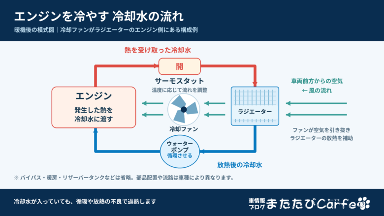 エンジン・サーモスタット・ラジエーター・ウォーターポンプを巡る冷却水と、ラジエーターから冷却ファンを通りエンジン側へ流れる空気を示した模式図